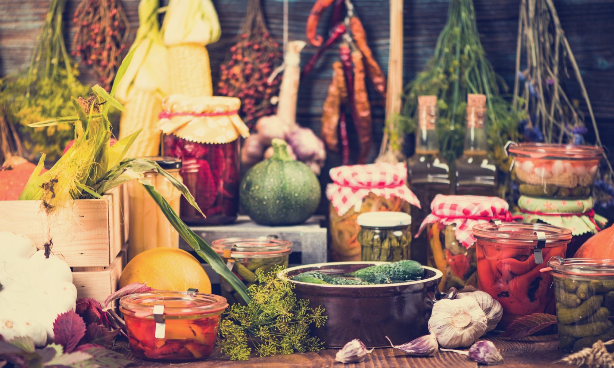 photograph of vegetable larder