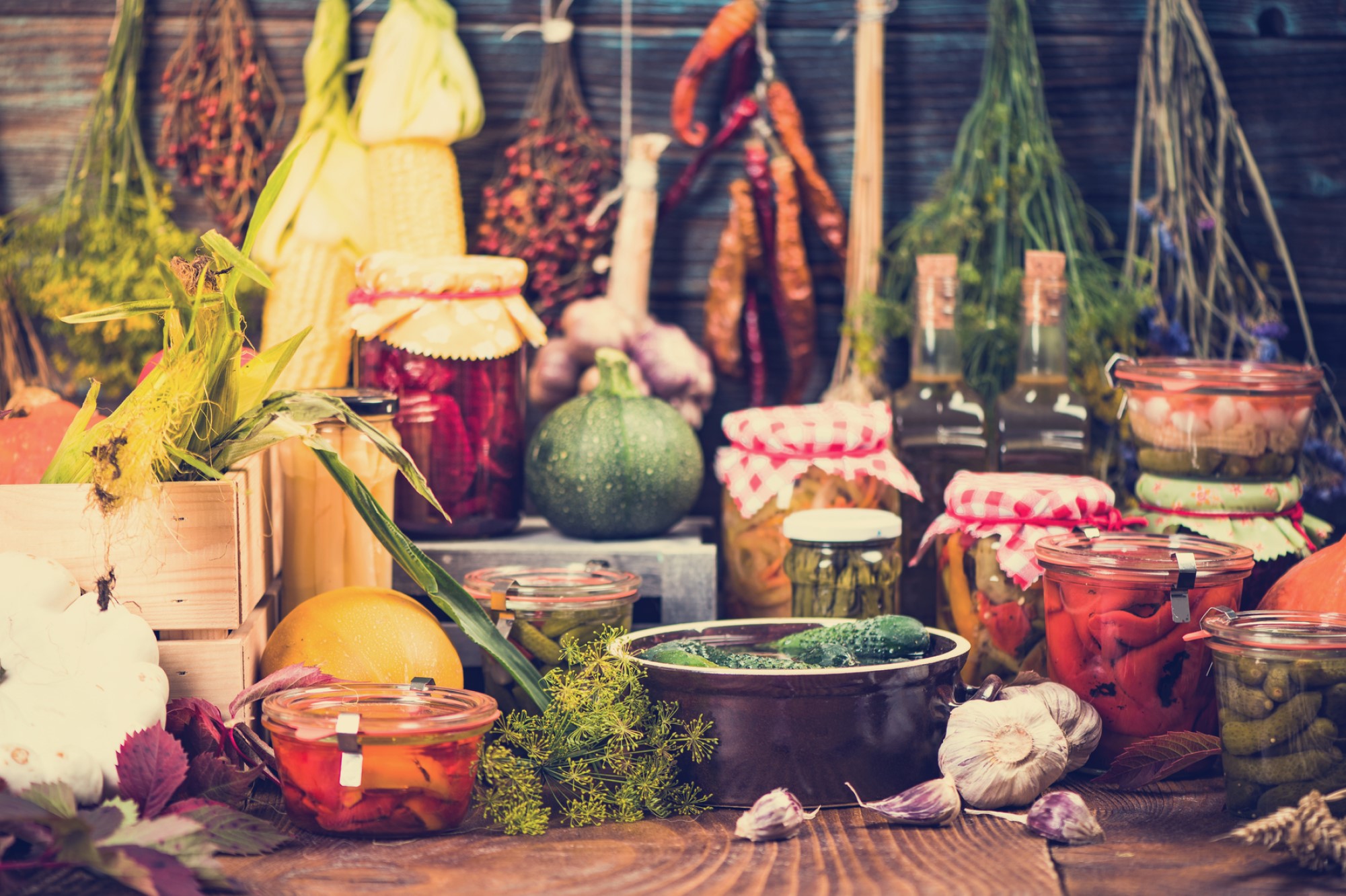 photograph of vegetable larder