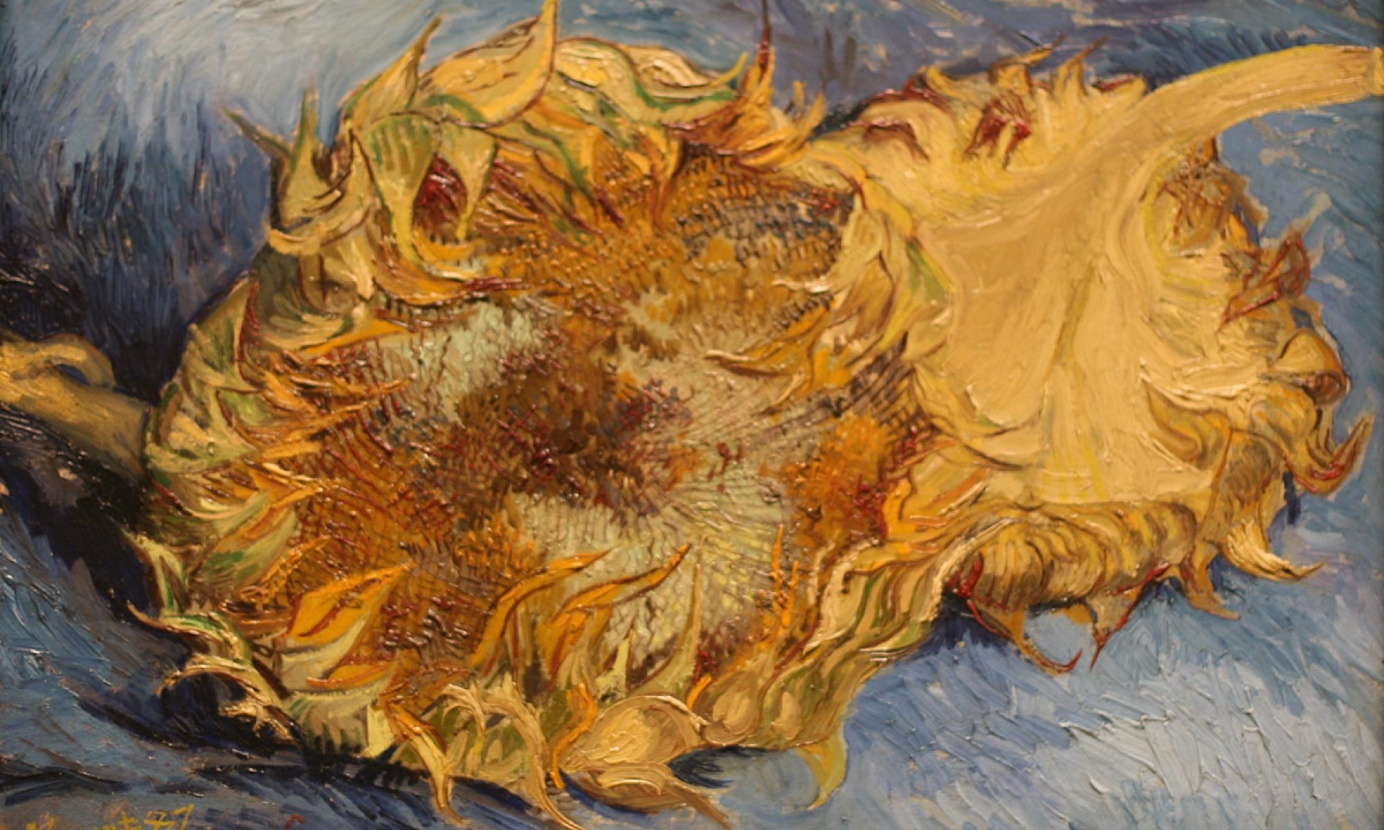 photograph of van Gogh's Sunflowers