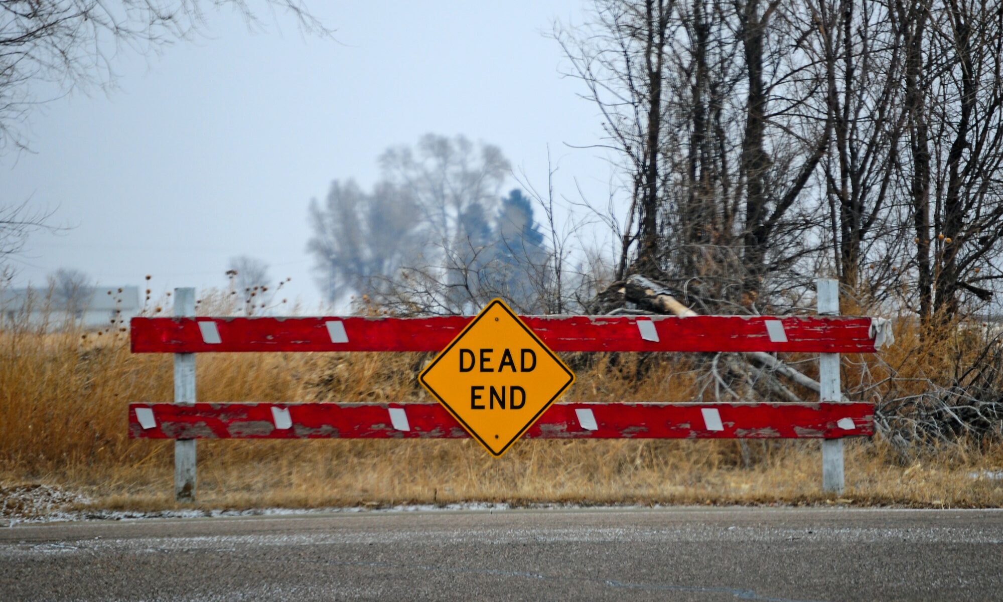 photograph of Dead End sign where road meets woodline