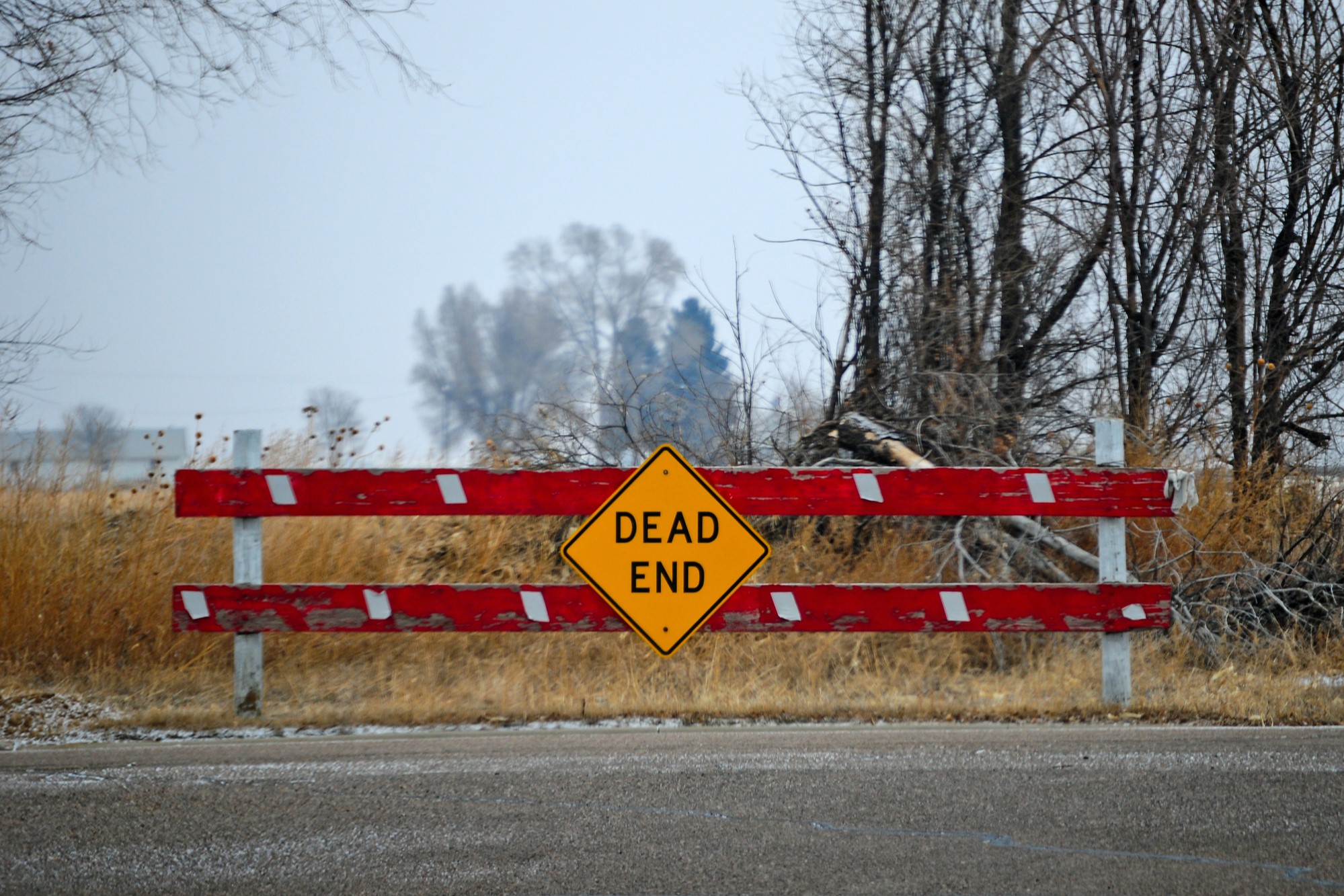 photograph of Dead End sign where road meets woodline