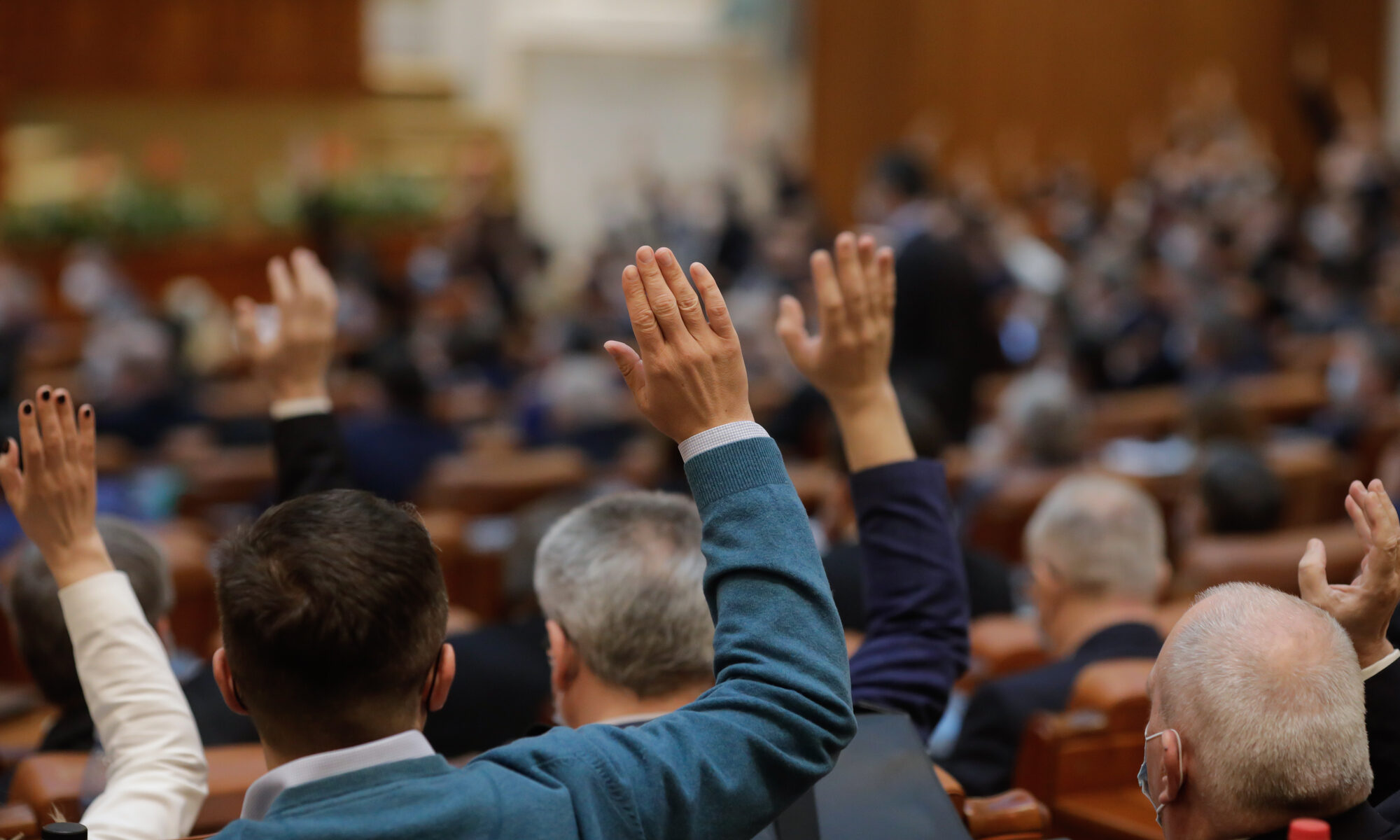 photograph of lawmakers voting