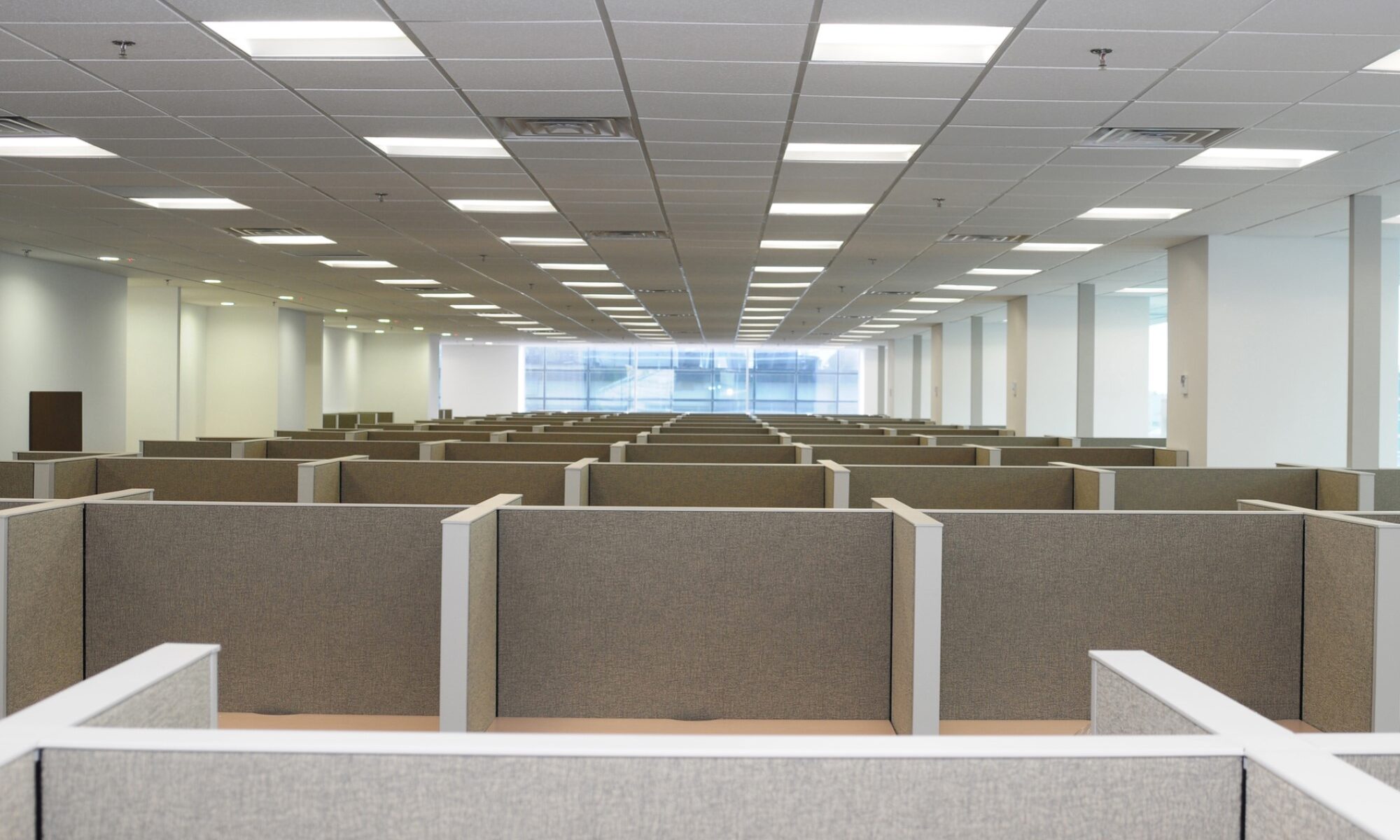 photograph of a maze of empty office cubicles