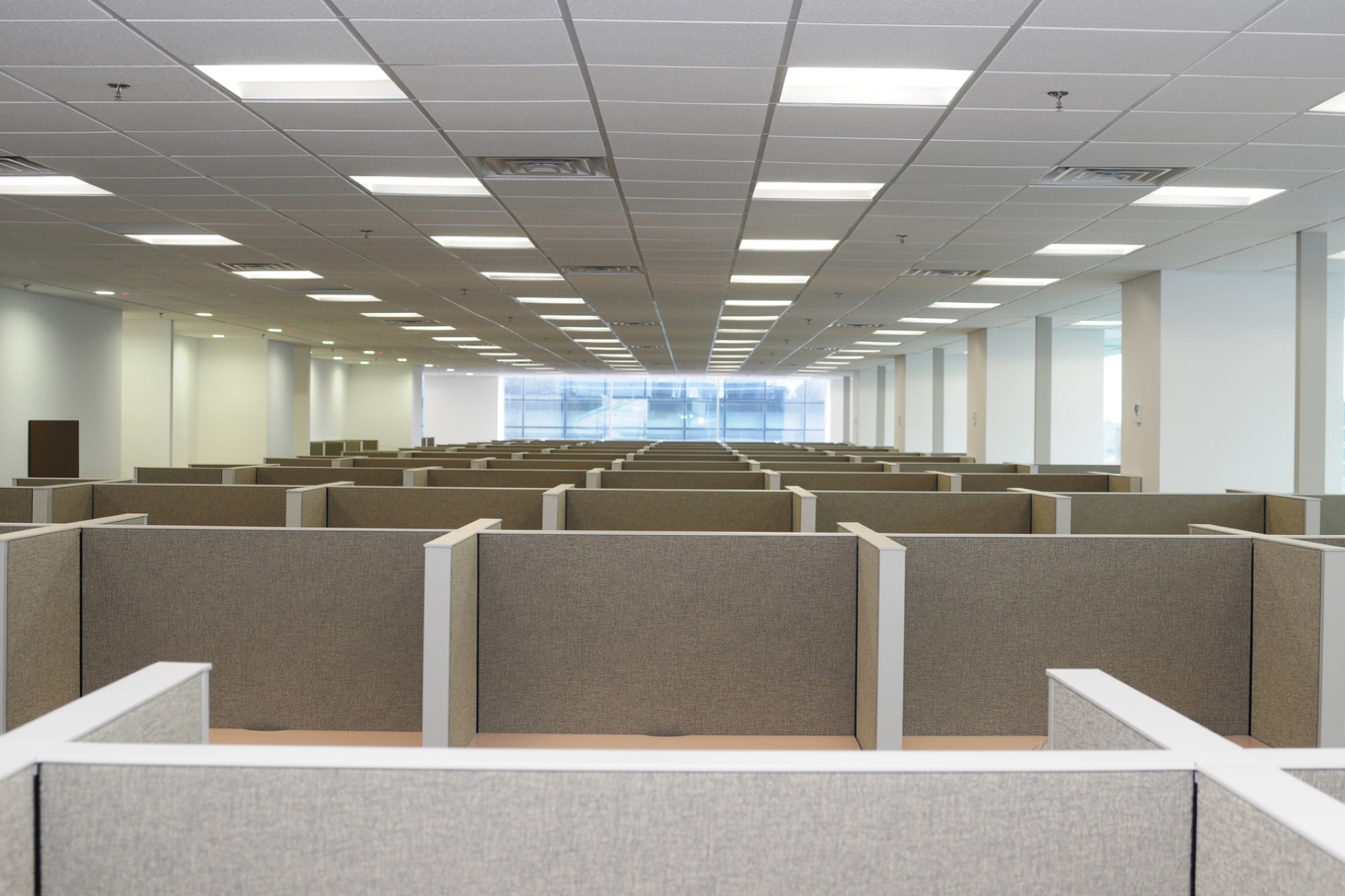 photograph of a maze of empty office cubicles