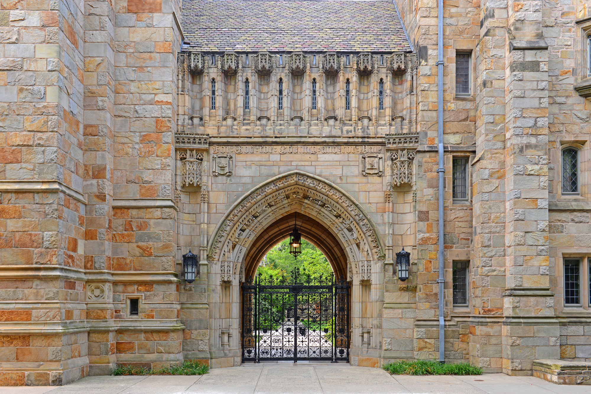 photograph of campus gates shut