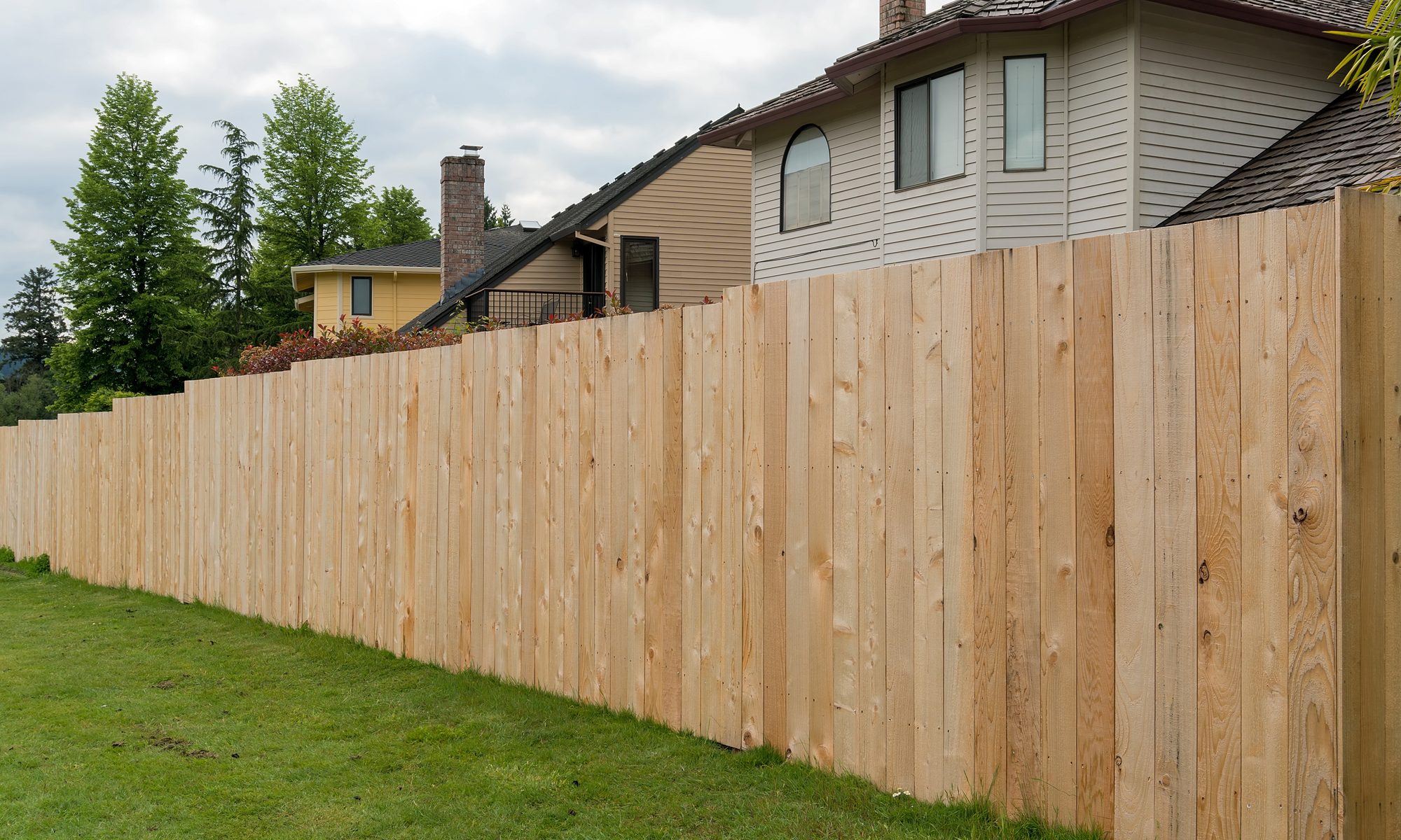 photograph of high cedar fencing on neighborhood homes