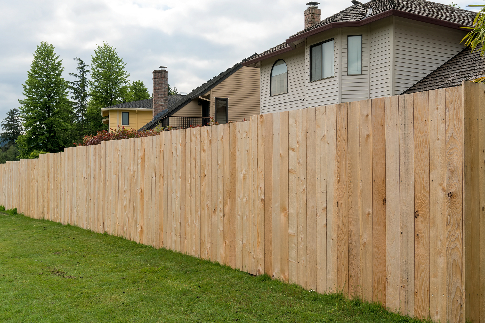 photograph of high cedar fencing on neighborhood homes