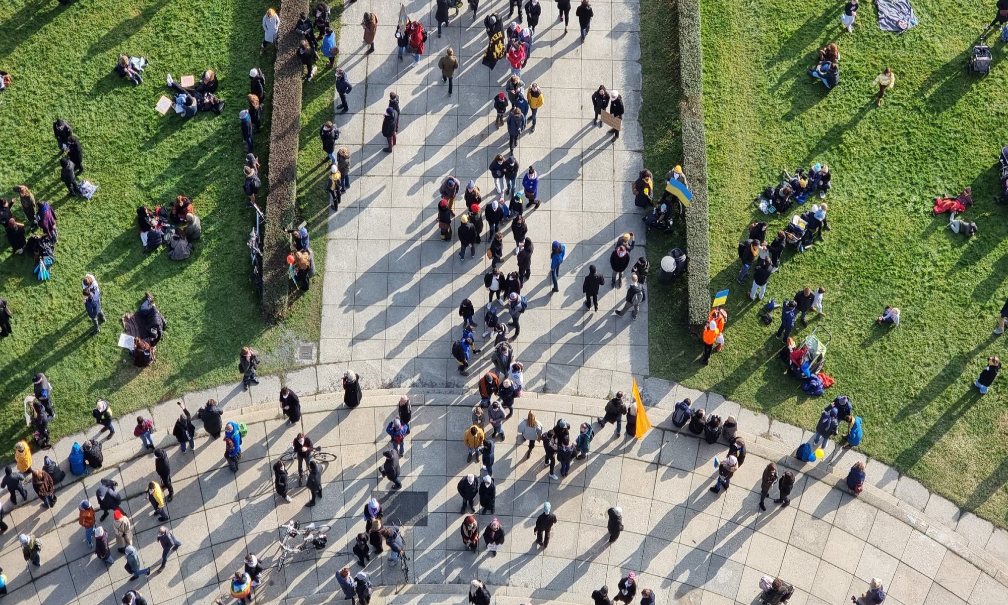 aerial photograph of people in a park