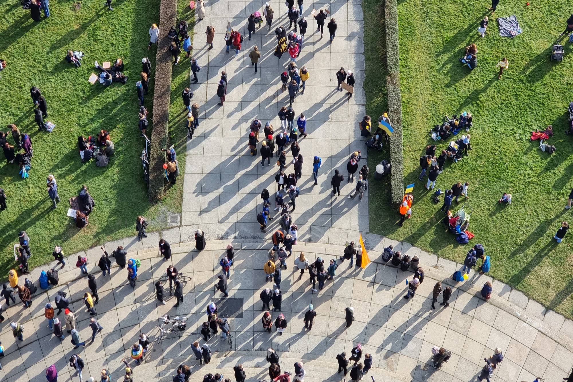 aerial photograph of people in a park