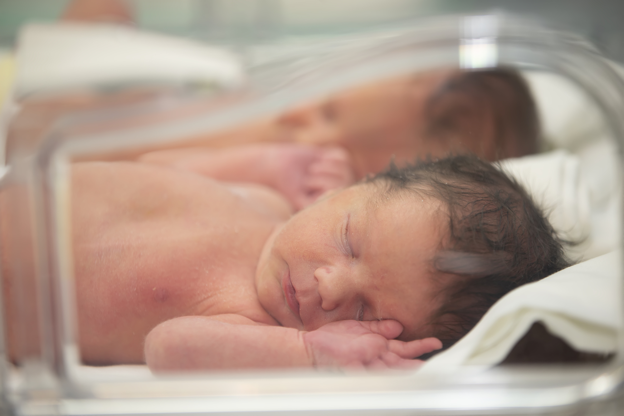 photograph of newborn children in hospital