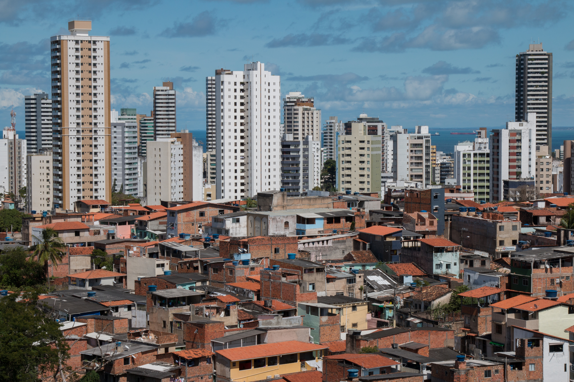 photograph of skyscrapers behind a favela