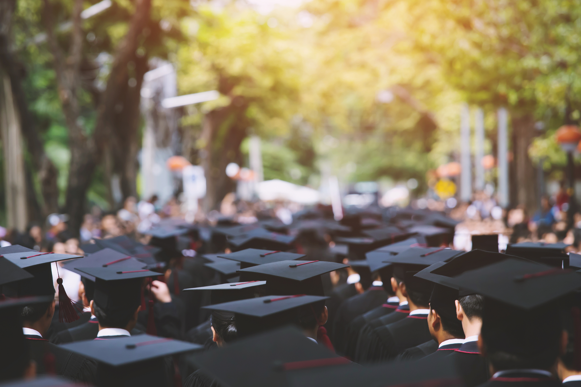 photograph of college commencement